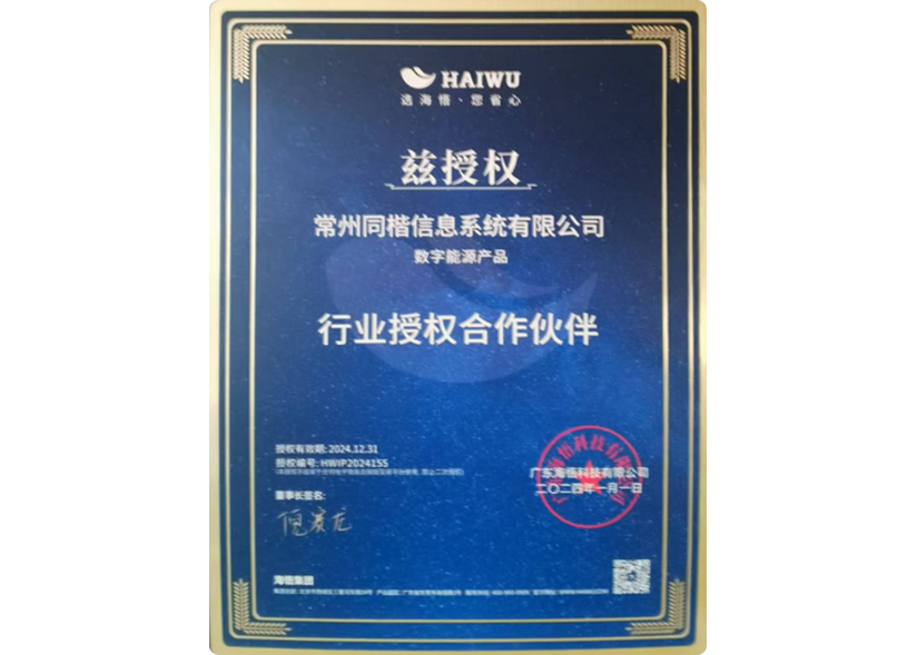 Main playback speaker