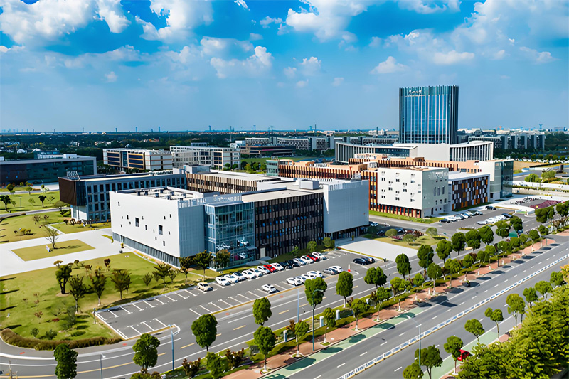 Main playback speaker