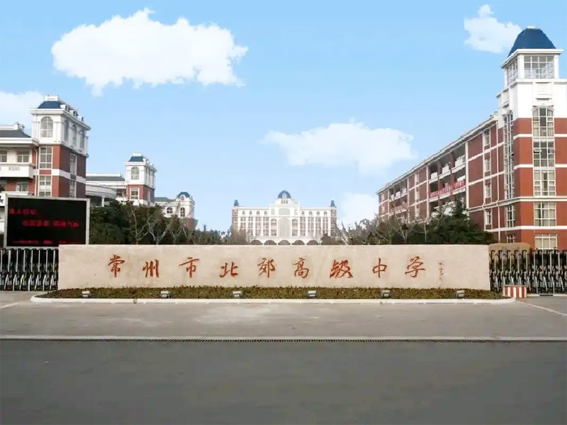 Main playback speaker