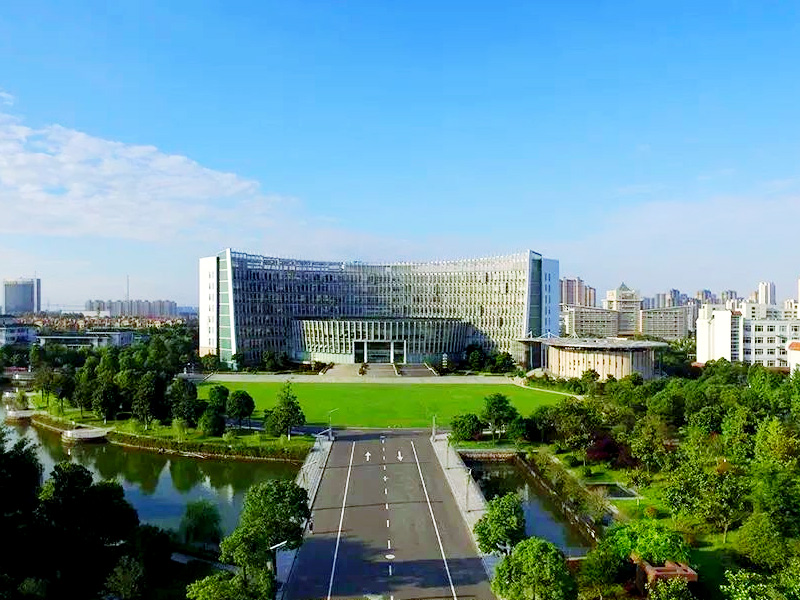 Main playback speaker