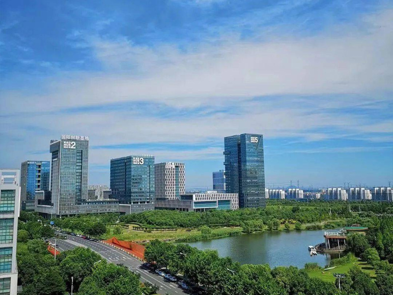 Main playback speaker